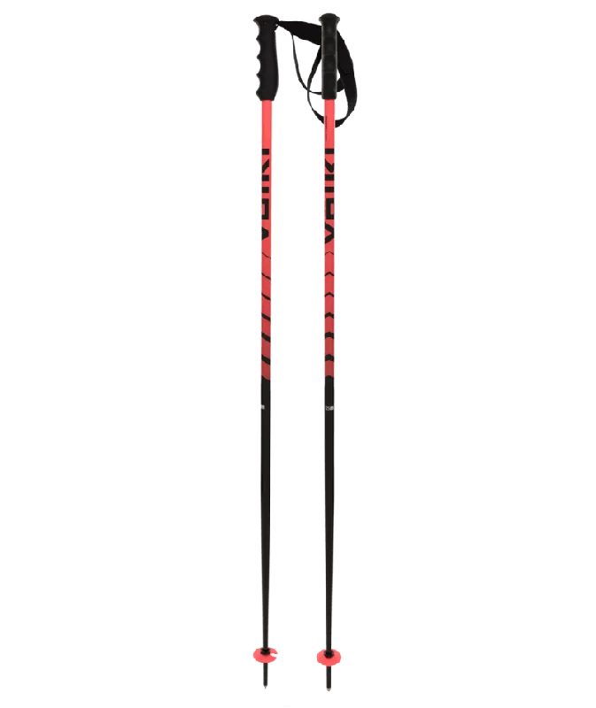 High-performance ski boots for women-Volkl Speedstick Ski Poles 2024